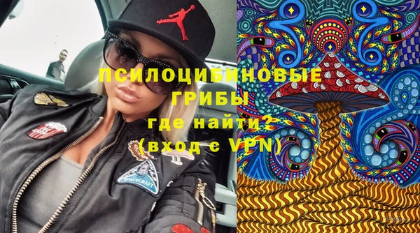 прущие крисы Чекалин