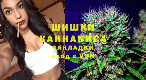 винт Чегем