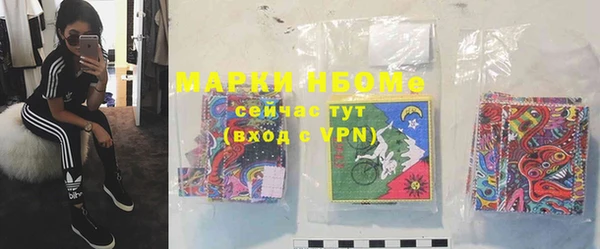 винт Чегем